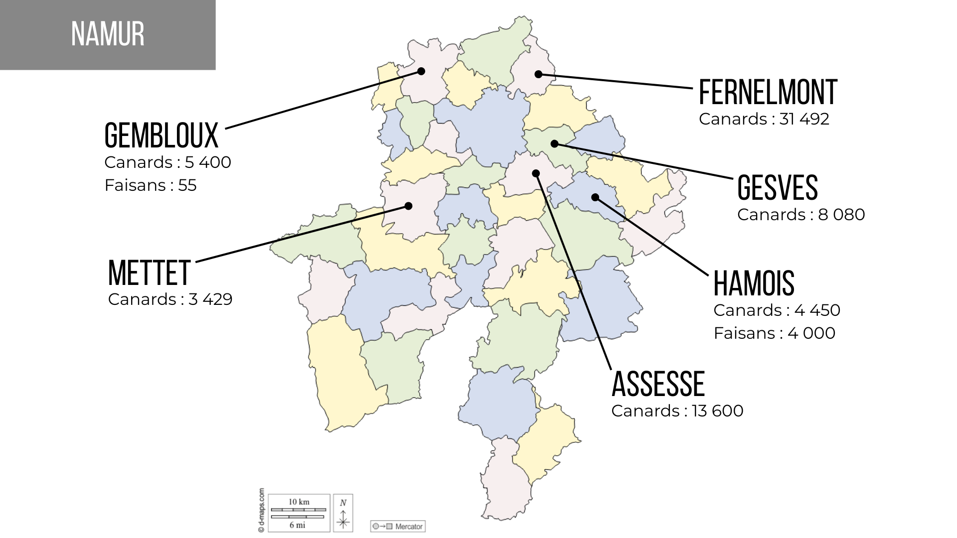 Nombre d’animaux importés entre 2020 et 2024 dans la province de Namur (source : AFSCA)